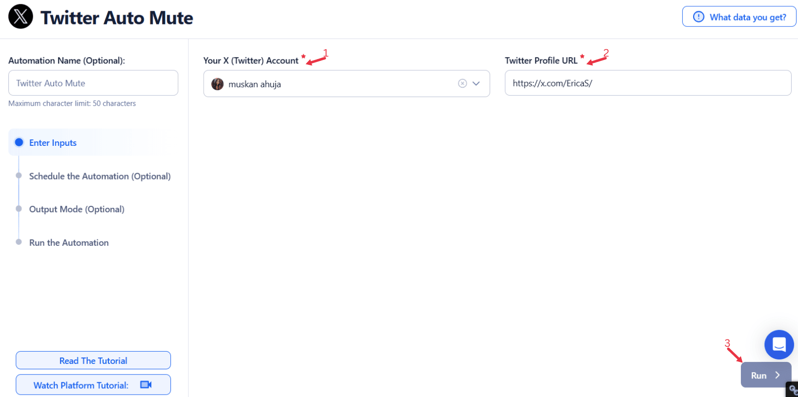 enter-a-single-input